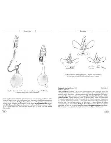 Papillons de nuit d'Europe - Volume 3