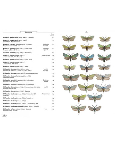 Papillons de nuit d'Europe - Volume 3