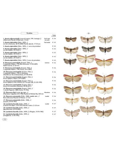 Papillons de nuit d'Europe - Volume 4