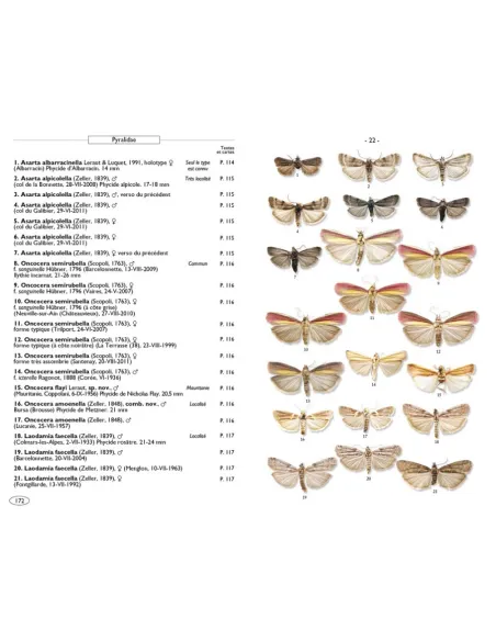 Papillons de nuit d'Europe - Volume 4