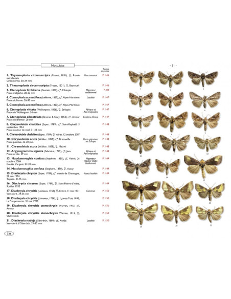 Papillons de nuit d'Europe - Volume 5