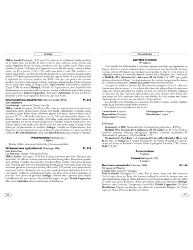 Papillons de nuit d'Europe, volume 8 - Microlépidoptères 2