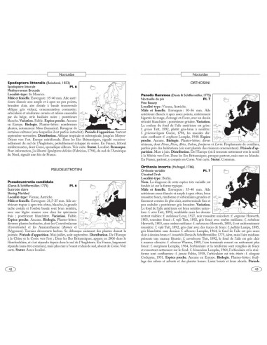 Papillons de nuit d'Europe, volume 6 : Noctuelles 2