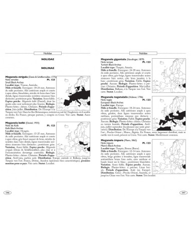 Papillons de nuit d'Europe, volume 6 : Noctuelles 2