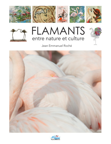 Flamants, entre nature et culture