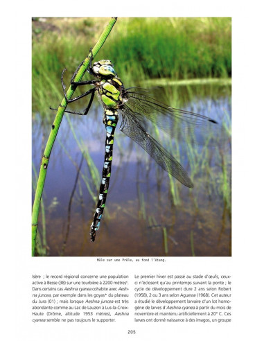 Atlas illustré des Libellules de la région Rhône-Alpes