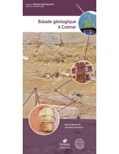 Balade géologique à Colmar