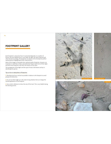 Birds That Leave Their Mark