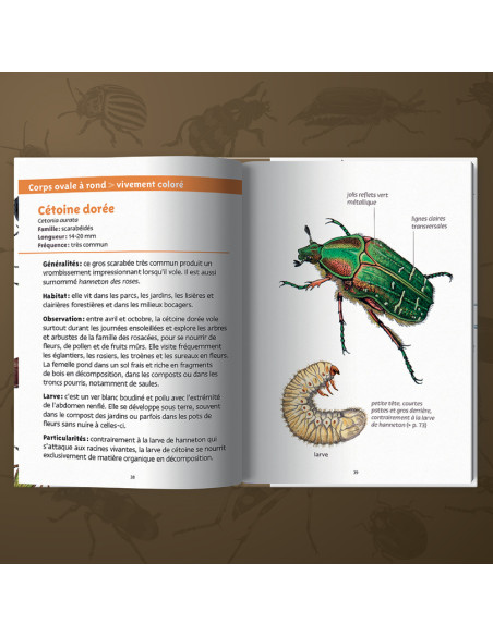 Les petits livres de la nature - Coléoptères