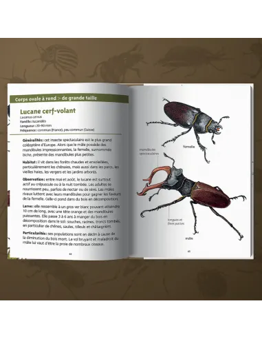Les petits livres de la nature - Coléoptères