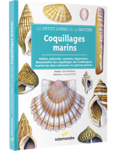 Les petits livres de la nature - Coquillages marins