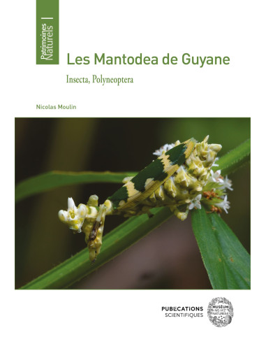 Les Mantodea de Guyane