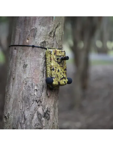 Enregistreur à ultrasons et acoustique en simultané Ranger Titley Scientific