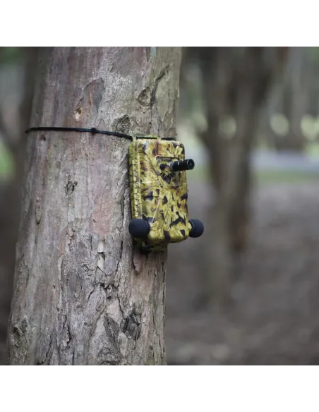 Enregistreur à ultrasons et acoustique en simultané Ranger Titley Scientific