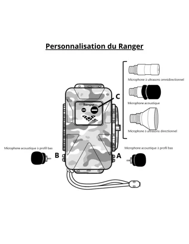 Options de personnalisation du Ranger