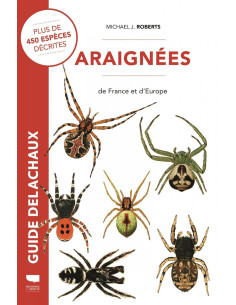 Araignées de France et d'Europe