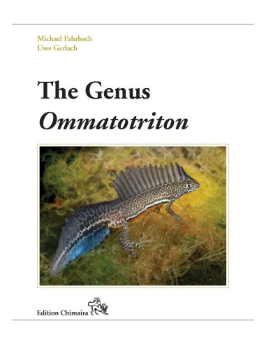 The Genus Ommatotriton