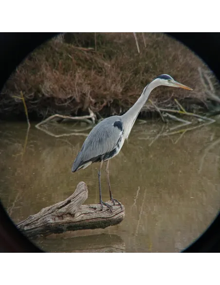 Adaptateur universel digiscopie pour smartphone Kite Optics