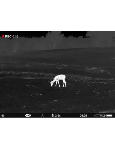 Monoculaire thermique Pulsar Axion XQ30 PRO