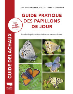 Guide pratique des papillons de jour - Tous les Papilionoidea de France métropolitaine