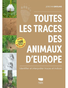 copy of Guide pratique des papillons de jour