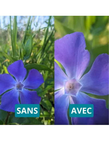 Objectif macro 100mm Apexel pour téléphone avec filtre CPL