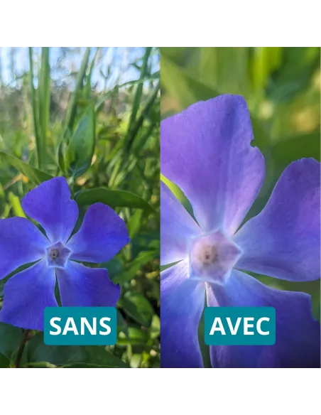 Objectif macro 100mm Apexel pour téléphone avec filtre CPL