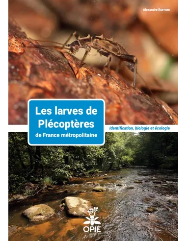 Les larves de plécoptères de France métropolitaine
