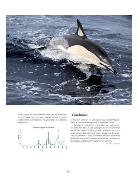 Oiseaux marins et cétacés du golfe de Gascogne