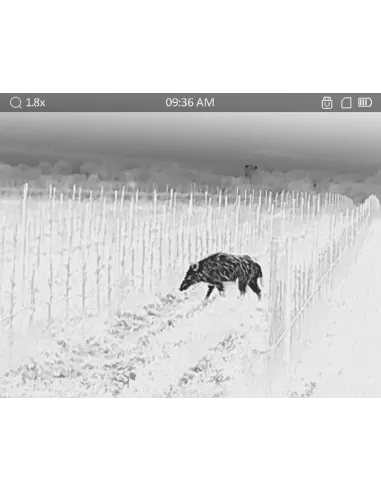 Thermal vision monocular LYNX PRO LH19 3.0 HikMicro