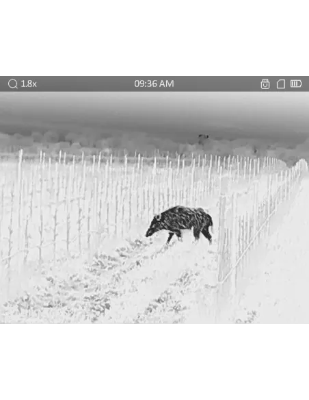 Thermal vision monocular LYNX PRO LH19 3.0 HikMicro