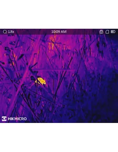Photo avec le thermique LYNX PRO LH19 2.0 HikMicro