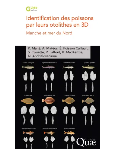 Identification des poissons par leurs otolithes en 3D - Manche et mer du Nord
