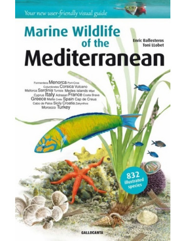 Marine Wildlife of the Mediterranean