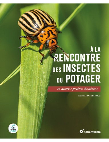 A la rencontre des insectes du potager