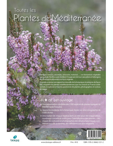 Plantes de Méditerranée de Banyuls-sur-Mer à Menton