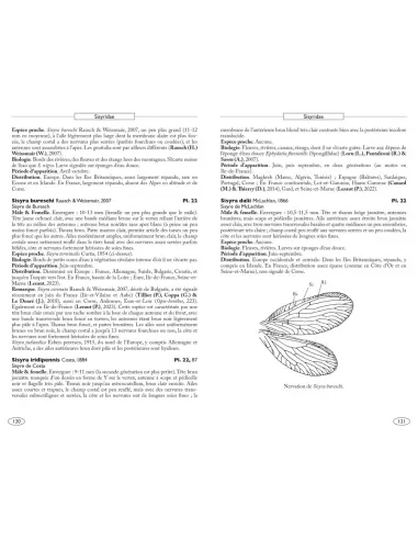 European Neuropteroids