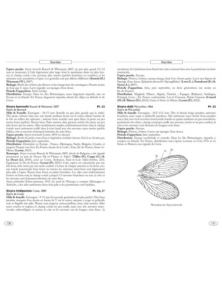 European Neuropteroids