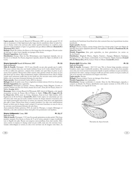 Névropteroïdes d'Europe, Névroptères, Trichoptères, Plécoptères...