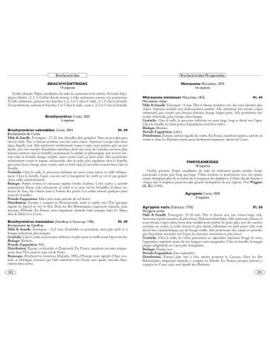 European Neuropteroids