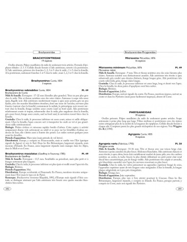 Névropteroïdes d'Europe, Névroptères, Trichoptères, Plécoptères...