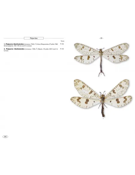 European Neuropteroids