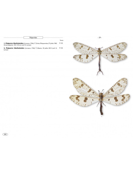 Névropteroïdes d'Europe, Névroptères, Trichoptères, Plécoptères...