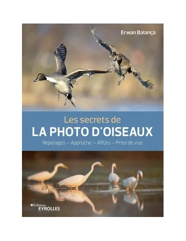 Les secrets de la photo d'oiseaux