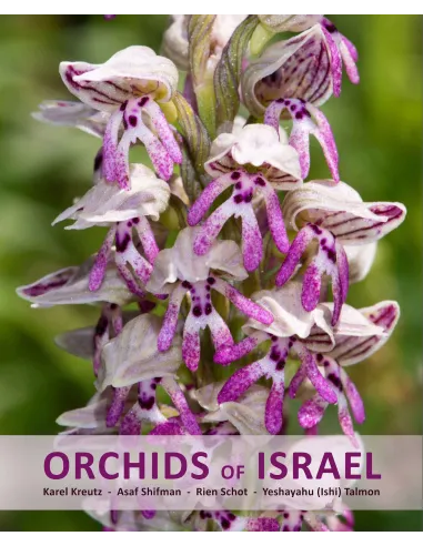 Orchids of Israel