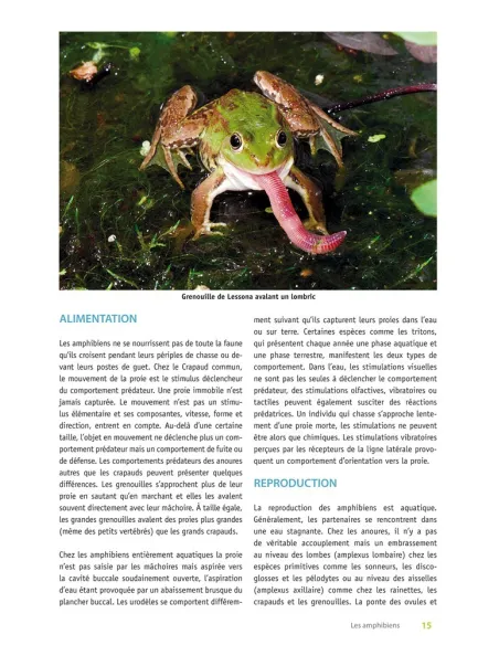 Atlas des amphibiens et reptiles de la Seine-Saint-Denis