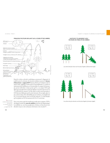 Les résineux - Tome 4 : Sylviculture...