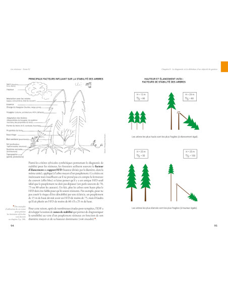 Les résineux - Tome 4 : Sylviculture et reboisement