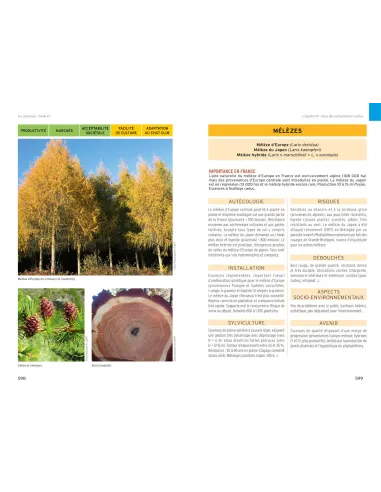 Les résineux - Tome 4 : Sylviculture...