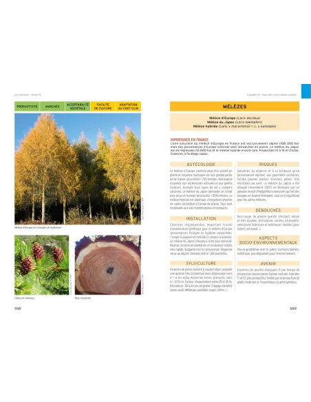 Les résineux - Tome 4 : Sylviculture et reboisement